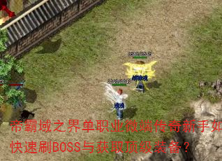 ۰֮絥ְҵ΢˴οˢBOSSȡװ