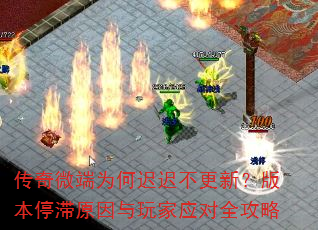 ΢Ϊγٳٲ£汾ͣԭӦȫ