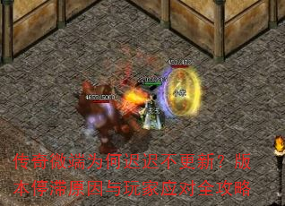 ΢Ϊγٳٲ£汾ͣԭӦȫ