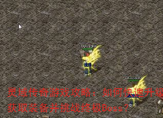 灵域传奇游戏攻略:如何快速升级获取装备并挑战终极Boss? 灵域传奇游戏攻略:如何快速升级获取装备并挑战终极Boss?