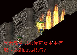 ս굥ְҵ汾ЩˢBOSSɣ