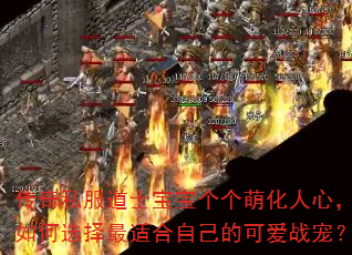 ˽ʿȻģѡʺԼĿɰս裿