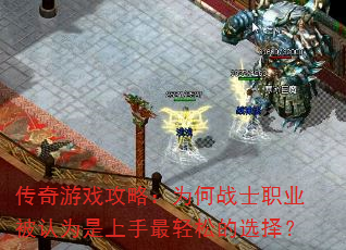 ϷԣΪսʿְҵΪɵѡ