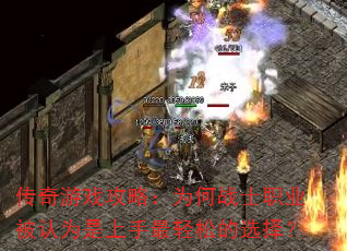 ϷԣΪսʿְҵΪɵѡ