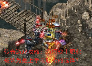 ϷԣΪսʿְҵΪɵѡ