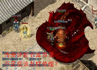 传奇SF新仓库容量不足应该怎样处理? 传奇SF新仓库容量不足应该怎样处理?