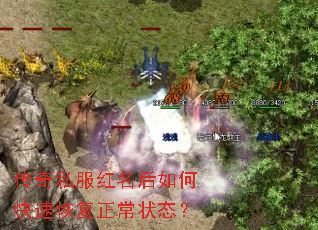 传奇私服红名后如何快速恢复正常状态? 传奇私服红名后如何快速恢复正常状态?