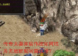 传奇夫妻并肩作战如何培养无敌默契制霸战场? 传奇夫妻并肩作战如何培养无敌默契制霸战场?