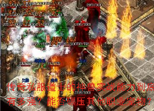 ˽ʿʵսжǿܷѹְҵ