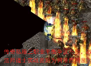 ˽ְҵƽ鲻ϣսʿʦʿʵսΪȻԣ