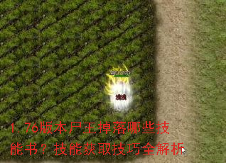 1.76汾ʬЩ飿ܻȡȫ