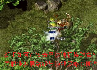 ڴٻ۲Ƹְͬҵչ·׬ǮЩ