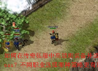 如何在传奇私服中高效刷装备并成功击杀Boss?不同职业选择哪种策略更有效? 如何在传奇私服中高效刷装备并成功击杀Boss?不同职业选择哪种策略更有效?