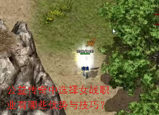 公益传奇中选择女战职业有哪些优势与技巧? 公益传奇中选择女战职业有哪些优势与技巧?