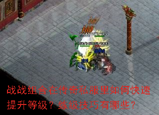 战战组合在传奇私服里如何快速提升等级?练级技巧有哪些? 战战组合在传奇私服里如何快速提升等级?练级技巧有哪些?