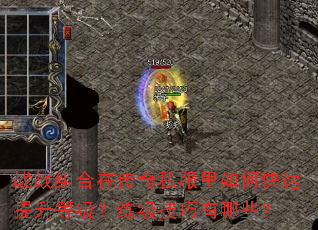 战战组合在传奇私服里如何快速提升等级?练级技巧有哪些? 战战组合在传奇私服里如何快速提升等级?练级技巧有哪些?