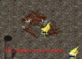 传奇比奇雕像的具体坐标在哪里? 传奇比奇雕像的具体坐标在哪里?