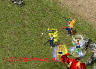 传奇比奇雕像的具体坐标在哪里? 传奇比奇雕像的具体坐标在哪里?