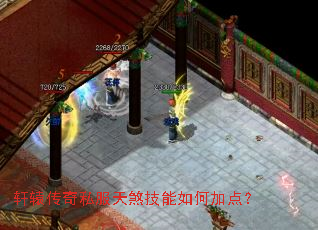 轩辕传奇私服天煞技能如何加点? 轩辕传奇私服天煞技能如何加点?