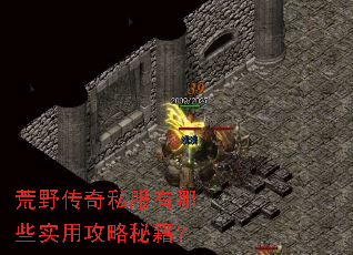 荒野传奇私服有哪些实用攻略秘籍? 荒野传奇私服有哪些实用攻略秘籍?