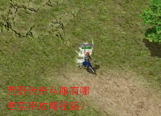 荒野传奇私服有哪些实用攻略秘籍? 荒野传奇私服有哪些实用攻略秘籍?