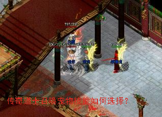 传奇道士召唤宠物技能如何选择? 传奇道士召唤宠物技能如何选择?