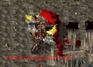 传奇道士召唤宠物技能如何选择? 传奇道士召唤宠物技能如何选择?