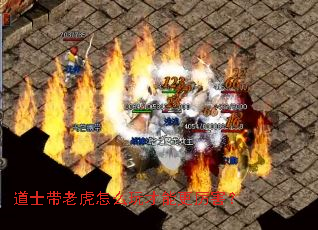 道士带老虎怎么玩才能更厉害? 道士带老虎怎么玩才能更厉害?