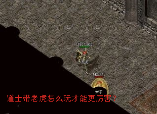 道士带老虎怎么玩才能更厉害? 道士带老虎怎么玩才能更厉害?