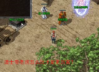 道士带老虎怎么玩才能更厉害? 道士带老虎怎么玩才能更厉害?