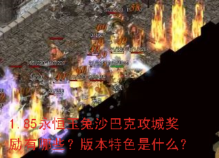 1.85ɳͿ˹ǽЩ汾ɫʲô