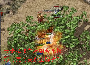 传奇私服主流组合PK技巧与克制关系全解析? 传奇私服主流组合PK技巧与克制关系全解析?