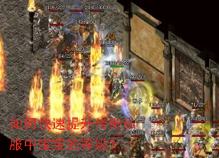 如何快速提升传奇私服中宝宝的等级? 如何快速提升传奇私服中宝宝的等级?