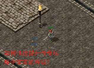 如何快速提升传奇私服中宝宝的等级? 如何快速提升传奇私服中宝宝的等级?