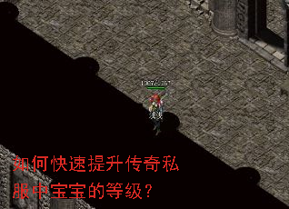 如何快速提升传奇私服中宝宝的等级? 如何快速提升传奇私服中宝宝的等级?