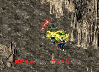 ���ô���������ο�������ս����