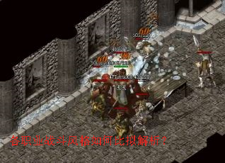 ��ְҵս�������α��������