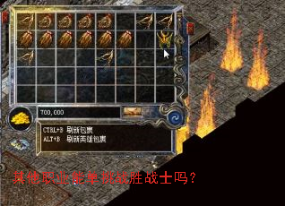 ����ְҵ�ܵ���սʤսʿ��