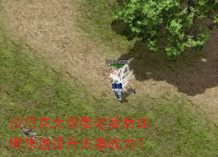 ɳ�Ϳ˴��Ȣ���ź���ο�����������ս����