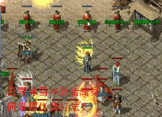 ������ѩ������������������ƴ򷨣�