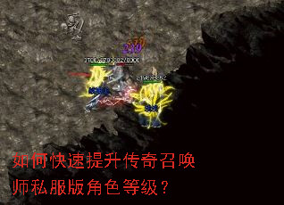 ��ο������������ٻ�ʦ˽�����ɫ�ȼ���