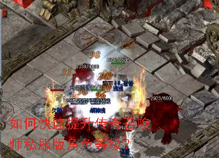 ��ο������������ٻ�ʦ˽�����ɫ�ȼ���