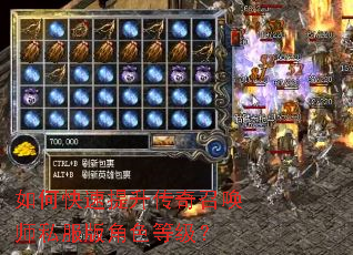 ��ο������������ٻ�ʦ˽�����ɫ�ȼ���