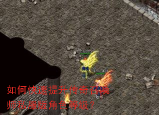 ��ο������������ٻ�ʦ˽�����ɫ�ȼ���