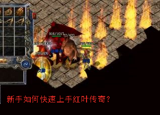 ������ο������ֺ�Ҷ���棿