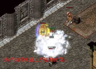 ������ο������ֺ�Ҷ���棿