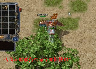 ����˽��������������ʹ�ã�