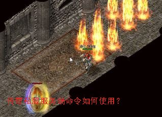 ����˽��������������ʹ�ã�