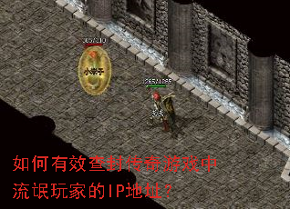 �����Ч��⴫����Ϸ����å��ҵ�IP��ַ��