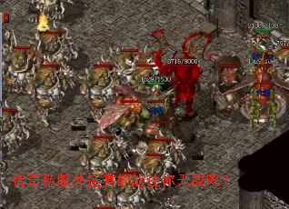 ����˽���������������޵���